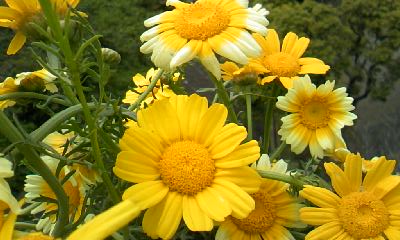 d0024220_2316851.jpg