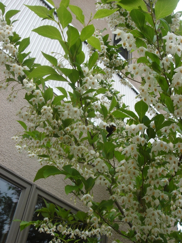 f0054421_7284570.jpg