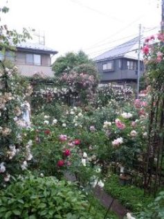 f0237621_1948060.jpg