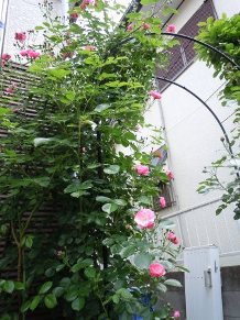 f0237621_2035966.jpg