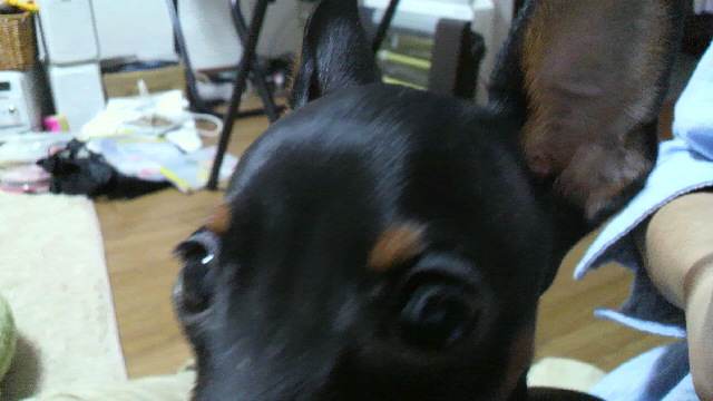 e0208623_22452710.jpg