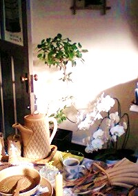 e0189225_1255711.jpg