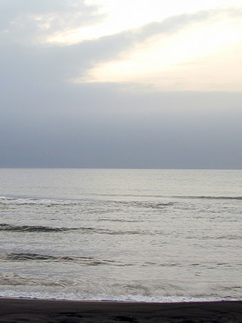 a0046429_19412450.jpg