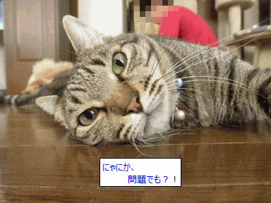 c0136736_11234241.gif