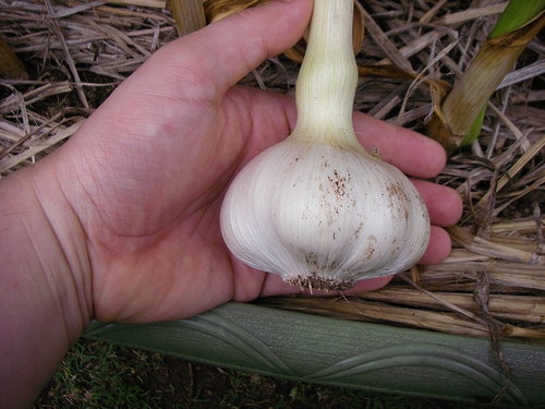 a0034438_1493740.jpg