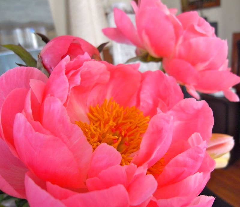 b0188839_9303431.jpg