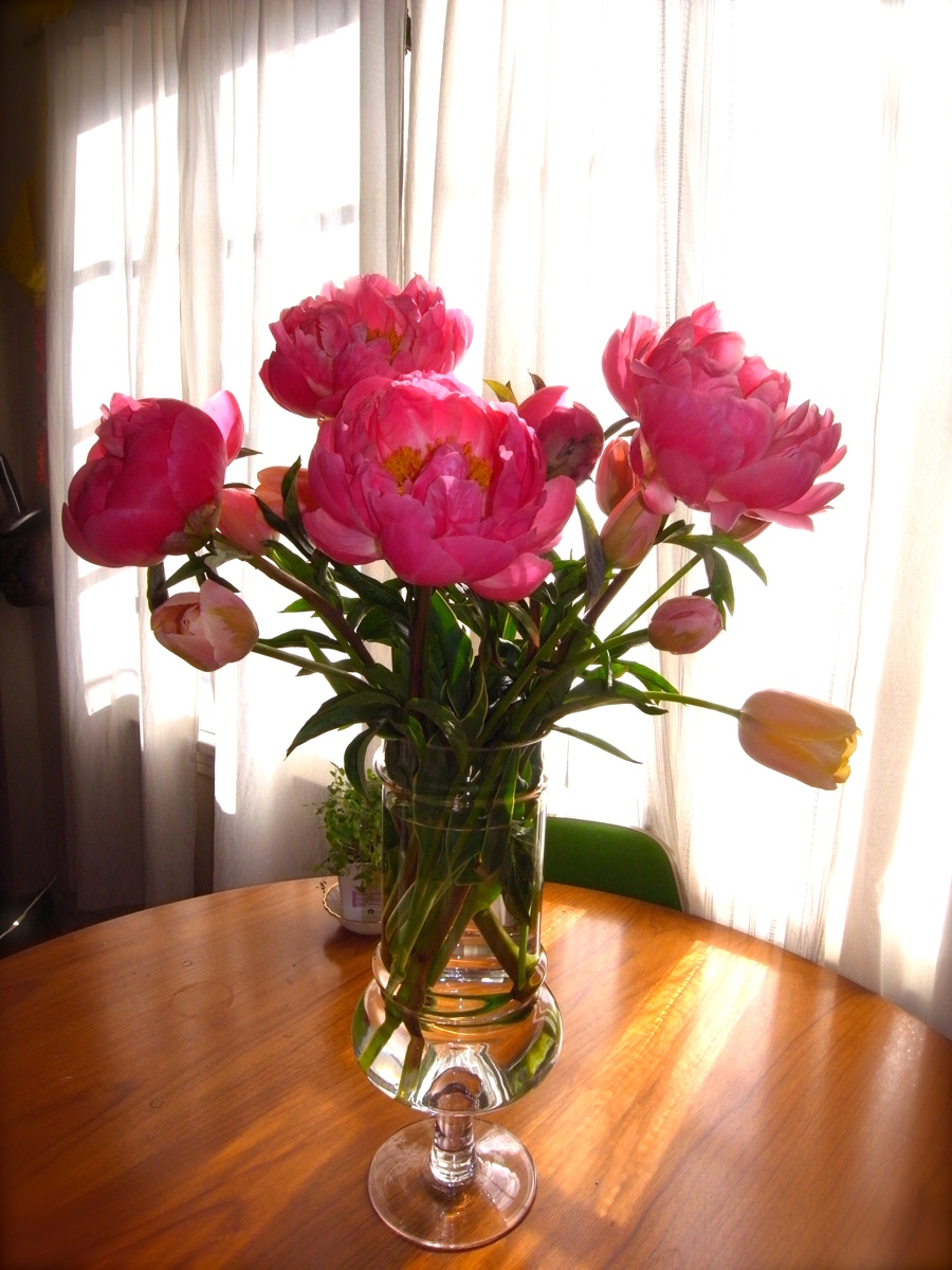 b0188839_9415920.jpg