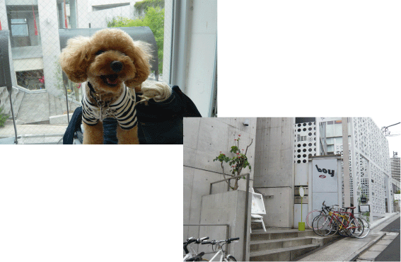 b0182846_171359.gif
