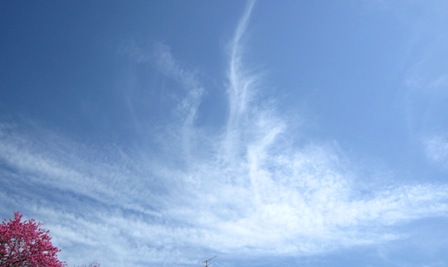b0173754_10245830.jpg