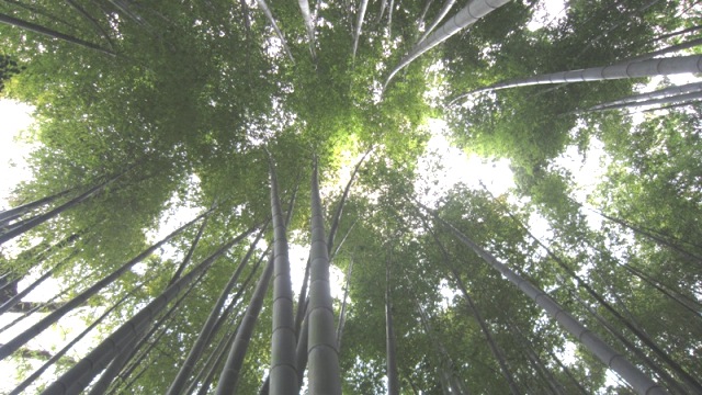 b0173754_93025100.jpg