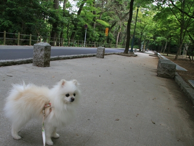d0054461_1701883.jpg