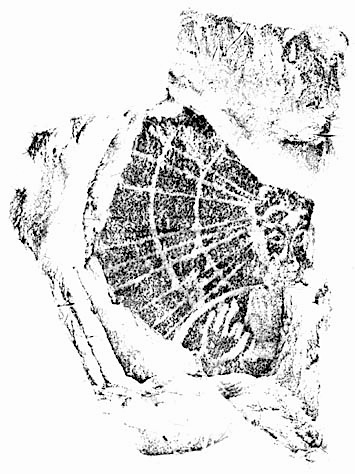 e0018762_9251552.jpg