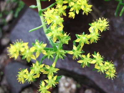 e0225164_7473254.jpg