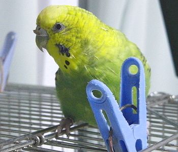f0196665_23364733.jpg