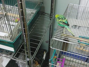 f0196665_23453462.jpg