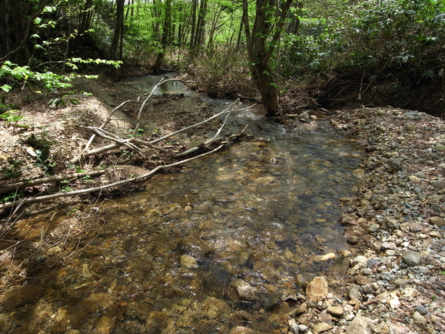 b0130166_2155983.jpg