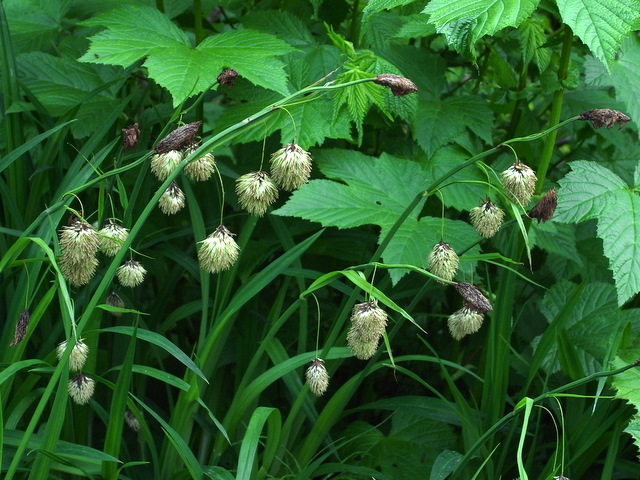 b0130166_2224858.jpg