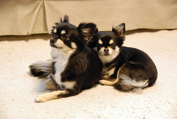 f0065768_1654194.jpg