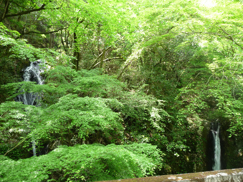 e0165472_22275087.jpg