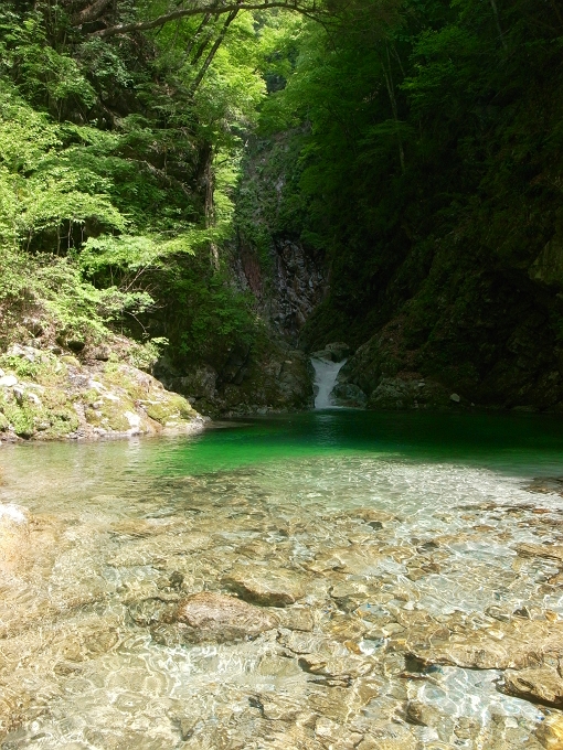 f0115475_875919.jpg