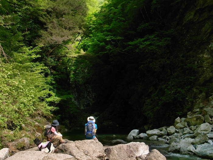 f0115475_883438.jpg