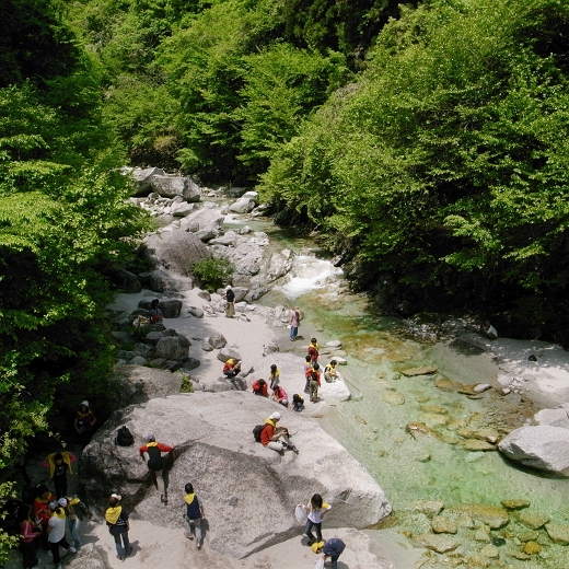 f0115475_884672.jpg