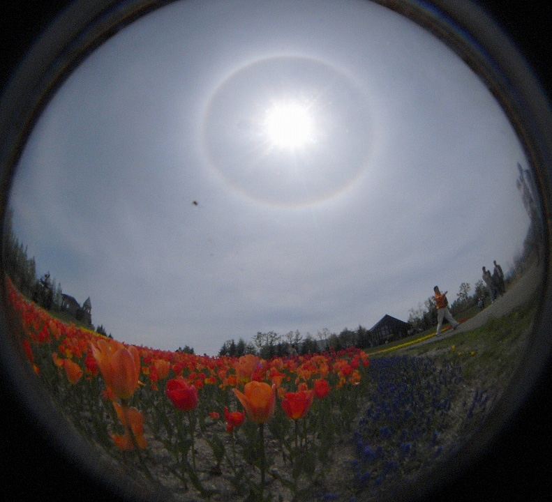 c0183777_19552695.jpg