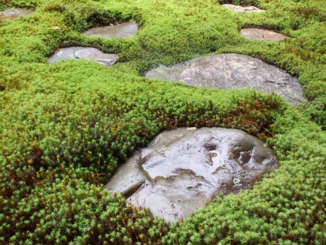 c0021178_2183260.jpg