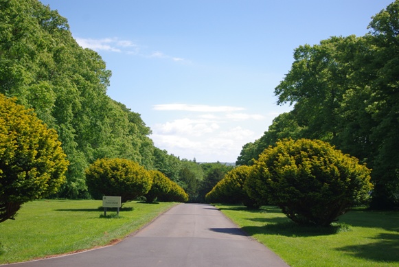 c0132488_21394879.jpg
