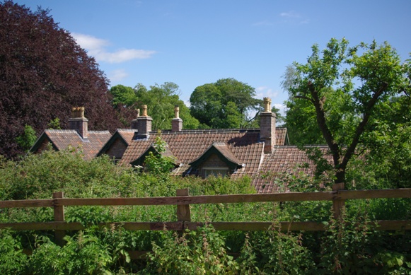 c0132488_2142312.jpg