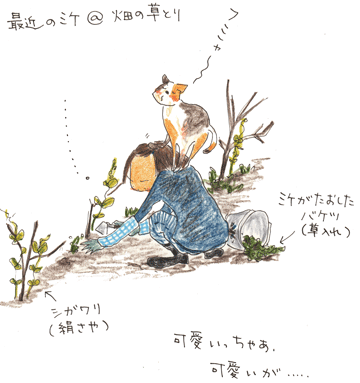 f0236291_2239985.gif