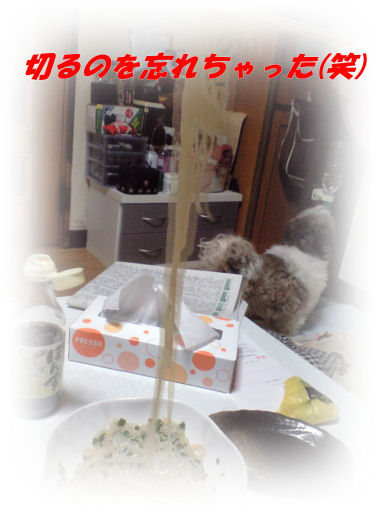 b0124693_20111763.jpg