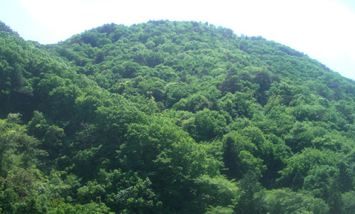 b0099994_13411183.jpg