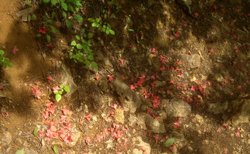 b0099994_13421027.jpg