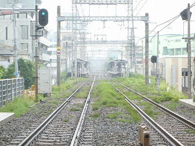 e0002896_174719.jpg