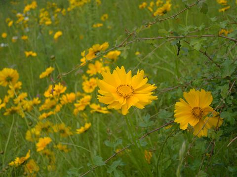 c0079001_20581827.jpg