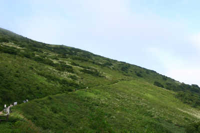 a0188405_20324923.jpg