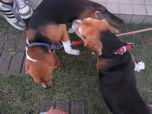 c0205806_2314387.jpg