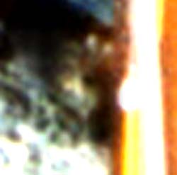 e0103408_1736126.jpg