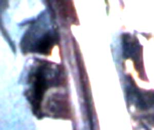 e0103408_17501643.jpg