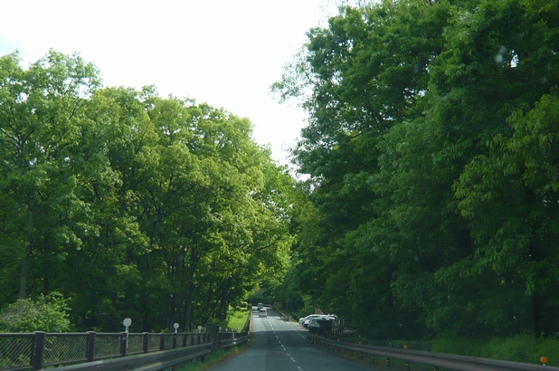 f0221708_19501530.jpg