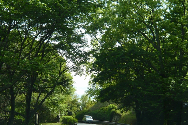 f0221708_19505582.jpg