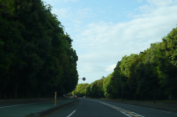 f0221708_19523339.jpg