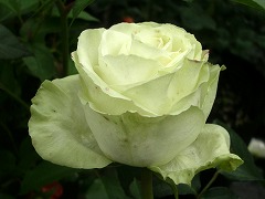 c0190010_22371245.jpg