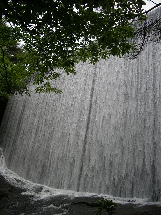 c0190010_23122583.jpg