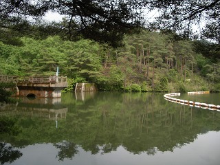 c0190010_23134697.jpg