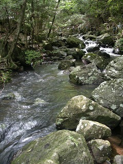 c0190010_2323741.jpg