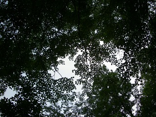 c0190010_232446.jpg
