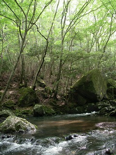 c0190010_2325247.jpg