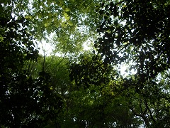 c0190010_233325.jpg